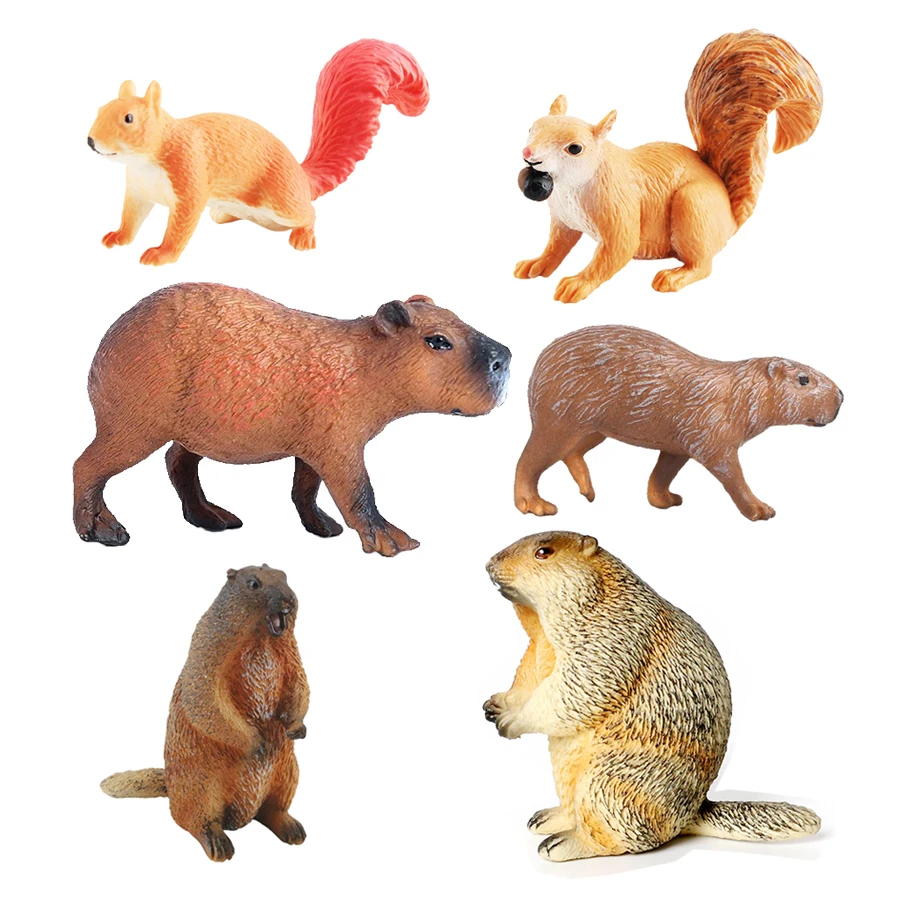 Kids Toys Reviews - Capibara Capybaras กระรอก Marmot พลาสติกตุ๊กตาสัตว์ Action