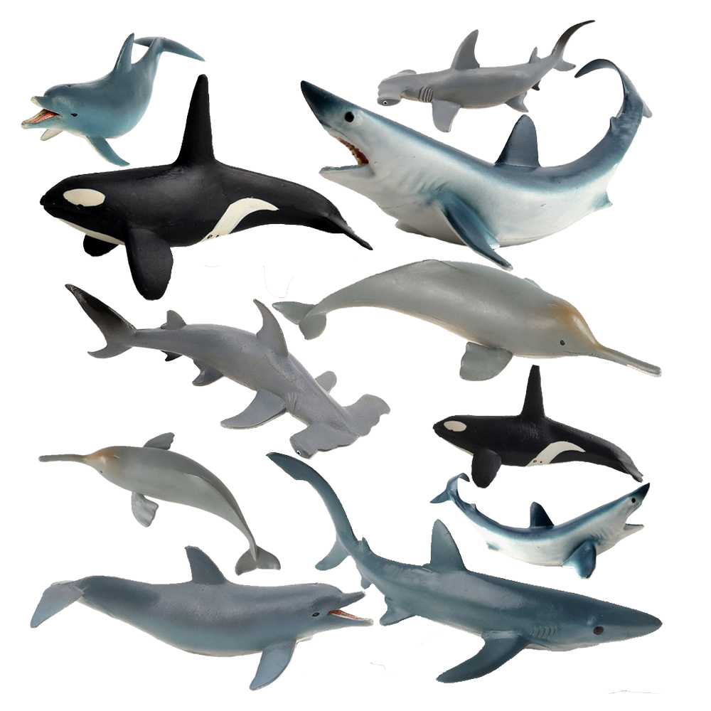 Kids Toys Reviews - Endangered สัตว์ทะเลตุ๊กตา Killer Shark Orca Beluga