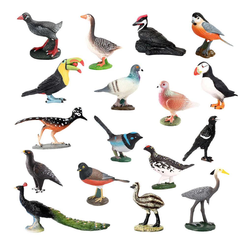 นกฮูก ฟลามิงโก ไก่งวง ทูแคน นก - Kids Toys Reviews บทวิจารณ์และราคา