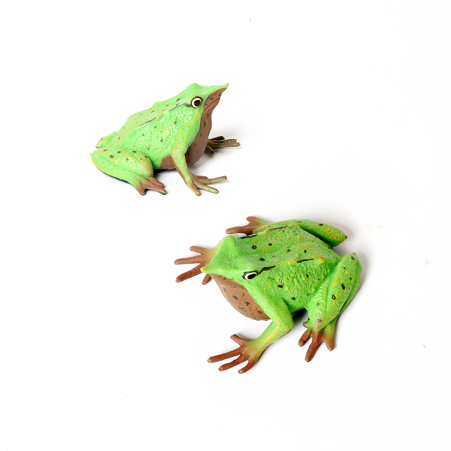 Rainforest สัตว์กบตุ๊กตาต้นไม้ - Kids Toys Reviews บทวิจารณ์และราคา