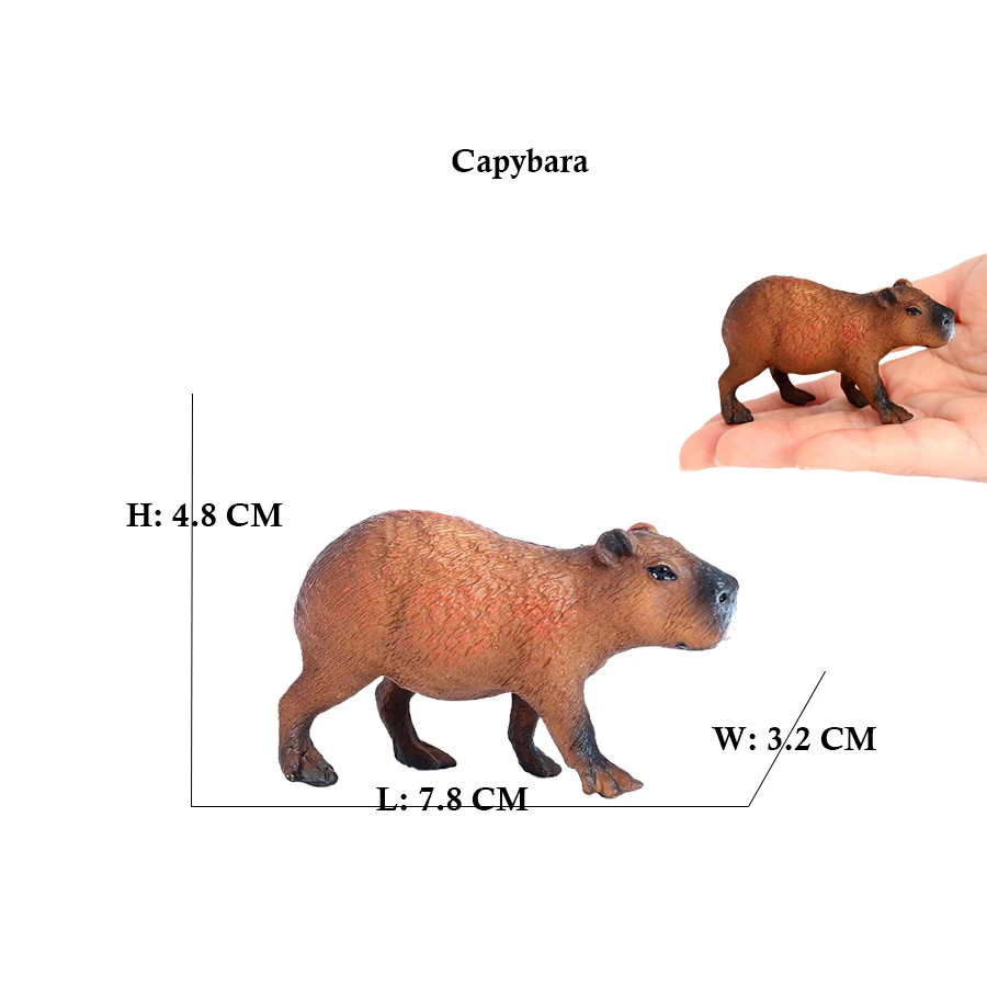 Capibara Capybaras กระรอก Marm - Kids Toys Reviews บทวิจารณ์และราคา