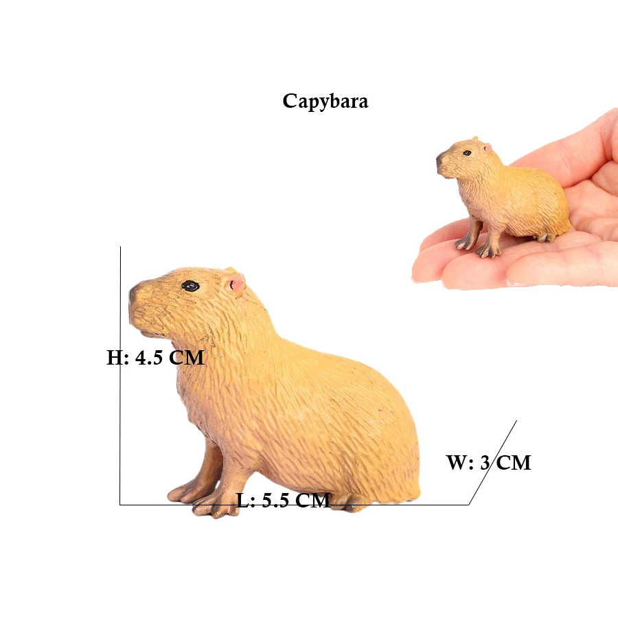 Capibara Capybaras กระรอก Marm - Kids Toys Reviews บทวิจารณ์และราคา