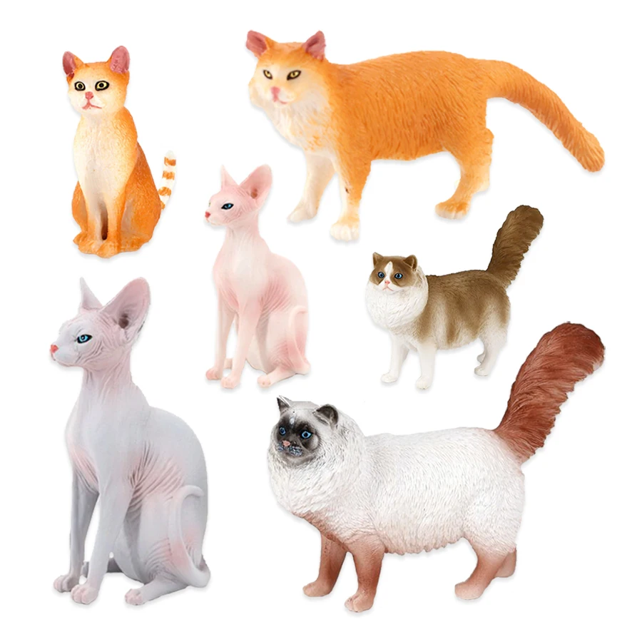 โมเดลแมว ของเล่นสัตว์ในฟาร์ม ข - Kids Toys Reviews บทวิจารณ์และราคา