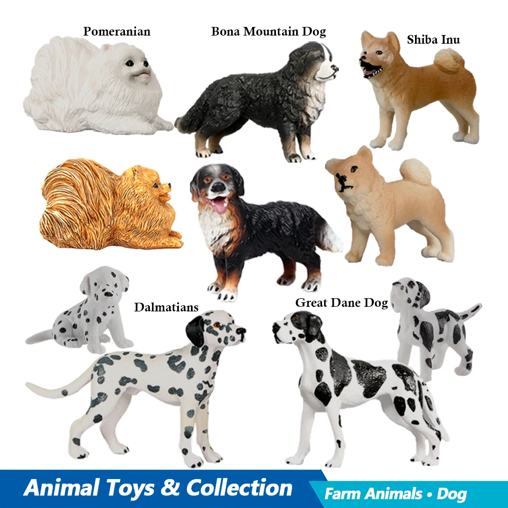Labrador Poodle Rottweiler Bon - Kids Toys Reviews บทวิจารณ์และราคา